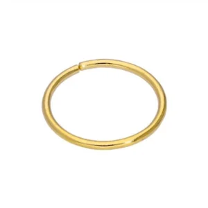 Minimalist Gold Nose Ring