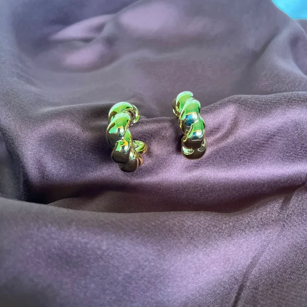 Earrings 13