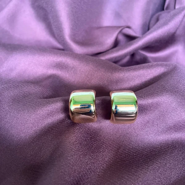 Earrings 19