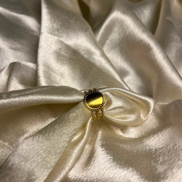 Ring 113