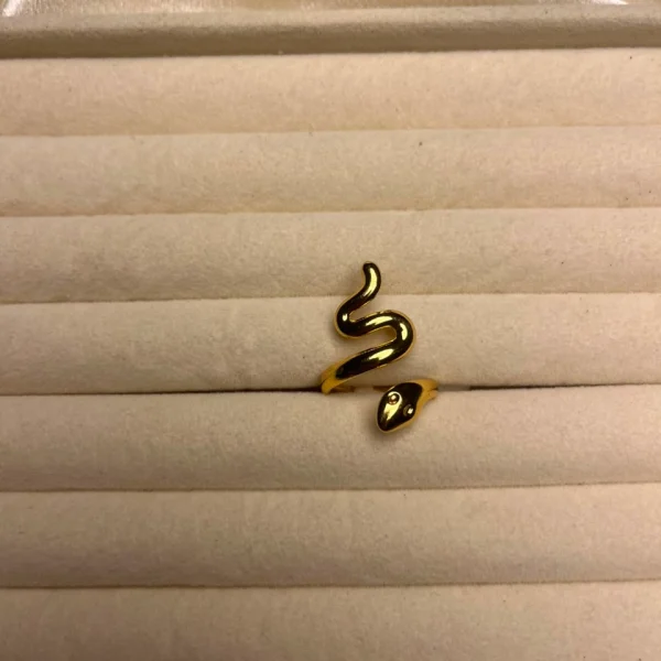 Ring 12