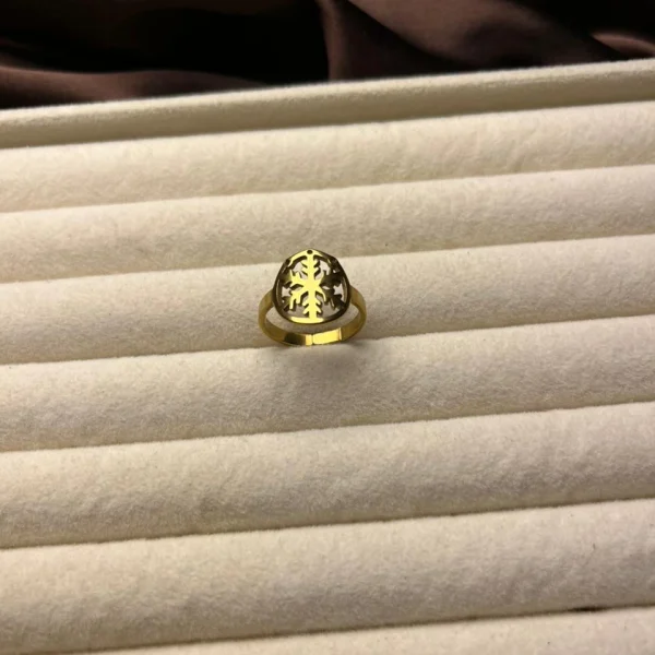 Ring 133