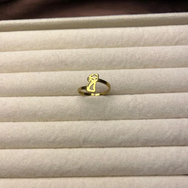 Ring 134
