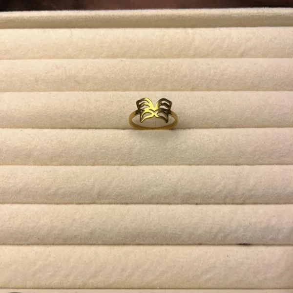 Ring 153