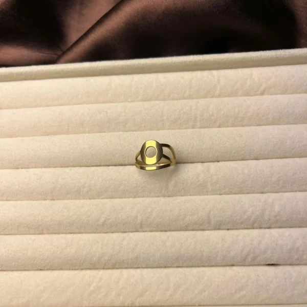 Ring 173