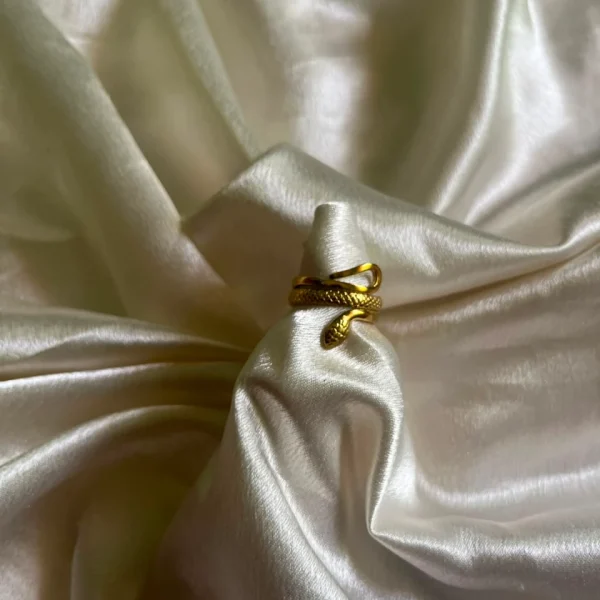 Ring 21